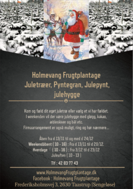 Fæld selv juletræ